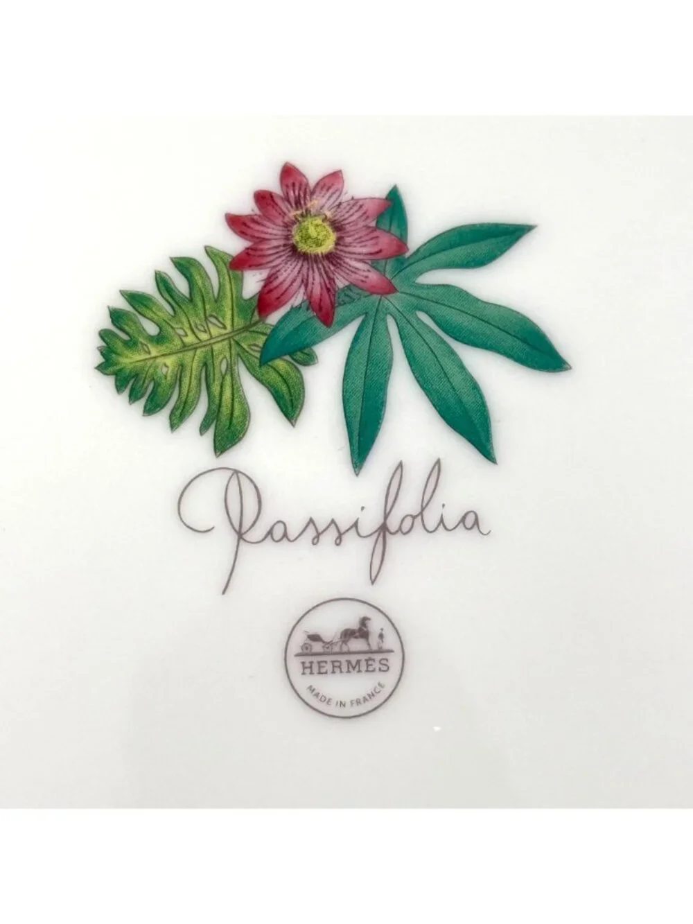 Hermes Passifolia Leaf Dinner Plates Set N1 Set of 2 (Thumbtack Stamp)